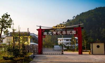 風采華安丨金磚廈門會晤選用產品之福建哈龍峰茶業